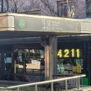 고급스러운 역삼역 속눈썹펌 [ 리브아이래쉬 ] 속눈썹 클리닉 펌