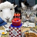 생일반점 | [계룡 맛집] 계룡대반점 / 연말 회식하기 좋은 중식당 솔직후기, 메뉴추천