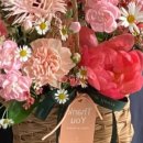 블루밍데이즈 이미지