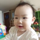 쥬니 이미지