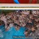 스튜디오우도