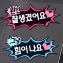 파이브바이브 애프터 플럼퍼 3D 글로시 립 2호 젤리핑크 내돈내산 후기