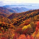 Great Smoky Mountains National Park 이미지