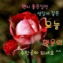 토요일 이미지