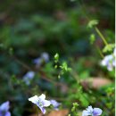 종지농장 이미지