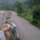 횡성초보캠핑장 이미지