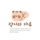 율리농장 | [제주여행] 탐나라 망고농장 애플망고 서울까지 무료배송! feat 돌고래 만남