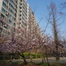 국민장례협동조합(장례묘지이장) 이미지