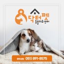 당감동물병원 이미지