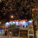 🚨 교통사고치사 사건, 갑작스런 자백의 증명력은? - 대법원 2025. 7. 3. 선고 2023도7405 판결 - 대구변호사강정한 이미지