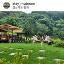 스테이 꿈의대화 이미지