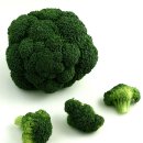 지엑스월드 이미지