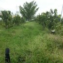 별리농장 이미지