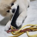 페따미꼬 이미지