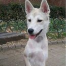 왜관동물병원 이미지