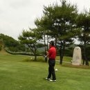 서울선치과의원 이미지