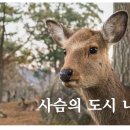 신사1-001 이미지