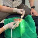 한결치과기공소 이미지