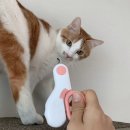 초초펫 | 고양이발톱깎이 딩동펫 LED 안전 발톱깎이