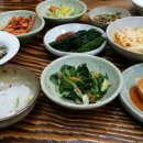 그늘집 Daum카페