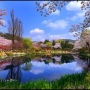 작은풍경 이미지