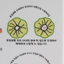 엠앤비코리아 이미지