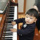 마망 엘리펀트 이미지