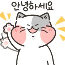 기대만족고현점