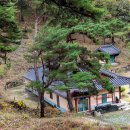 보은 삼년산성 이미지