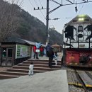 한국산림개발