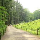 광릉수목원 이미지