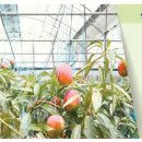 신라농장 이미지