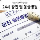 광진24시 필동물병원 이미지
