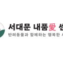 내품애동물병원 이미지