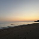 콩앤삐 펜션 네이버블로그