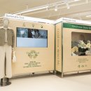 리치마트 이미지