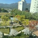 청원유치원 | 반은 달려왔다,,4건의 유치원설명회 중 2건 완료(청원,코코)