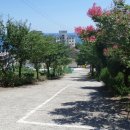 대진펜션 이미지