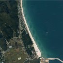 금진부동산공인중개사사무소 이미지