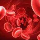 건강 찾는 사람들 이미지