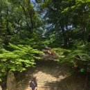 산약초에 대한 이해 | 유네스코 세계유산 - 산사, 한국의 산지 승원을 가다. - 안동 봉정사(安東 鳳停寺) -2부