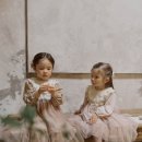 플로샤 이미지