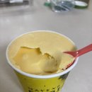 코스트코 두리안 후기 (두친자의 번외제품 포함)