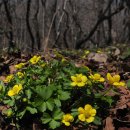 심심산골 이미지