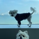 제이스테이 펜트하우스 이미지