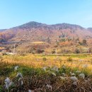 청천공원