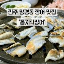 망경장어 이미지