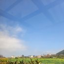 파란펜션 | 제주애월키즈펜션 더파란키즈펜션 방문 후기