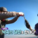 난지도소나무펜션 이미지