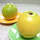 차만들기 이미지